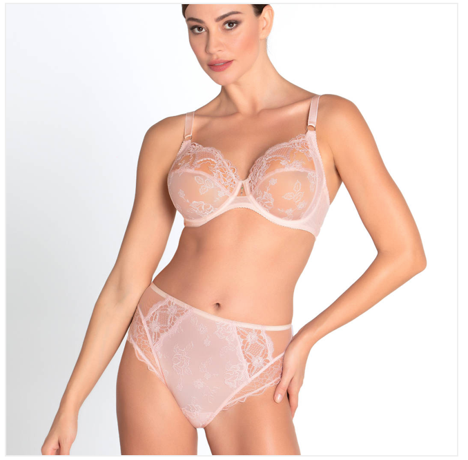 Lise Charmel Sublim En Dentelle High Waist Brief
