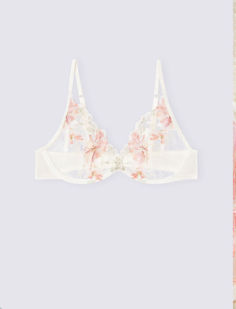 Argentavivo Summer Sunset Plunge Sheer Bra