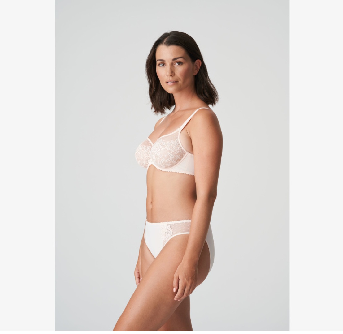 PrimaDonna 0162120 Women's Madison Natural Off White Padded Bra 36B :  PrimaDonna: : Clothing, Shoes & Accessories