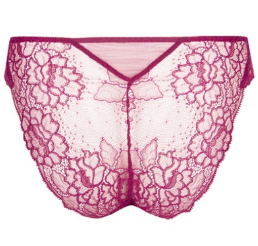 Lise Charmel Sublime En Dentelle Italian Brief