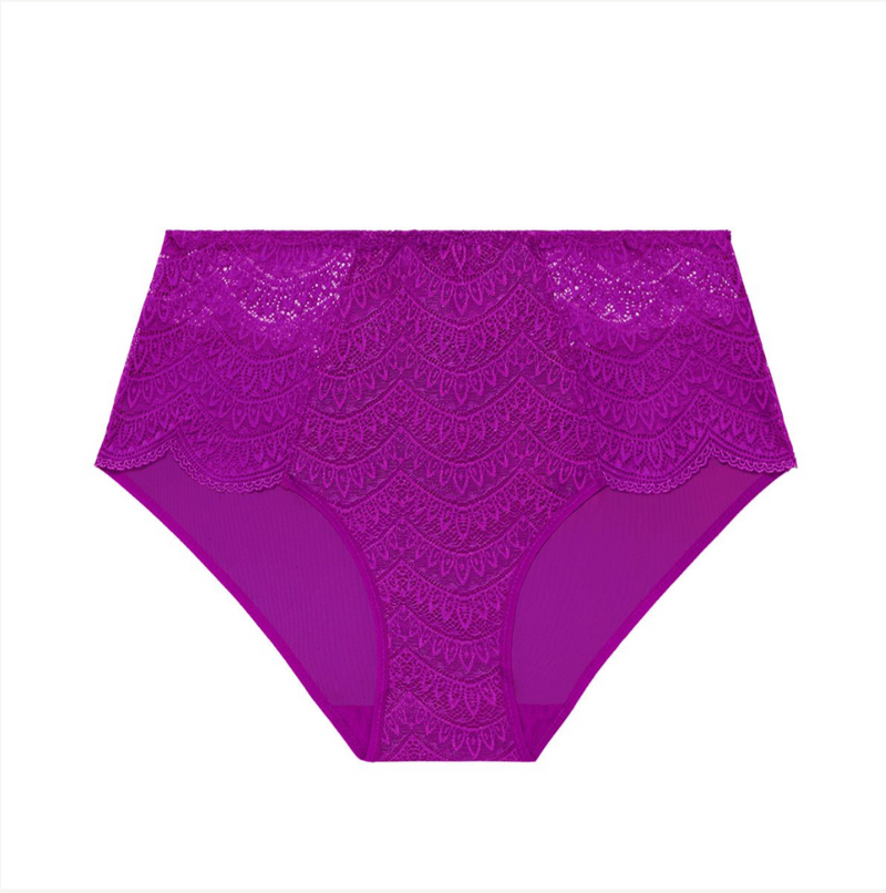 Simone Perele Karma Retro Brief